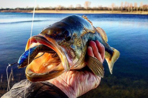 Spring Fishing Tips