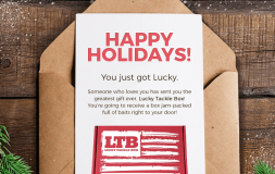 Happy holidays ltb card