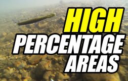 High percentage areas headline