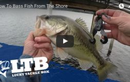 How to bass fish from the shore man holding bass by the mouth