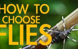 How to choose flies headline with a rod