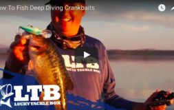 How to deep fish crankbaits with ltb logo