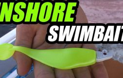 Inshore swimbait headline yellow swimbait on the palm