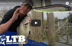Jerkbait fishing in the winter ltb youtube video