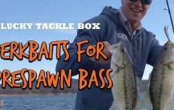 Jerkbaits for prespawn bass lucky tackle box