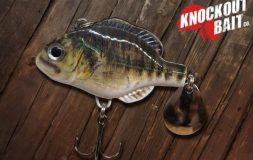 Knockout hook bait suckerpunch on the wooden background