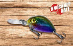 Knockout hook bait the jab blue