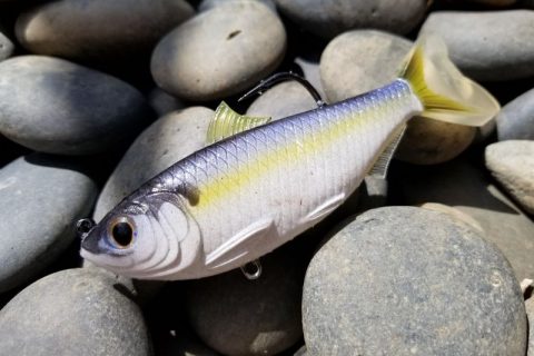Reaper-Style Baitmate Ultra Live Is Waiting