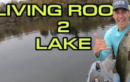 Living room 2 lake