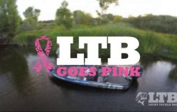 Ltb goes pink logo