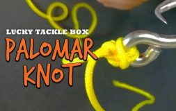 Ltb palomar knot