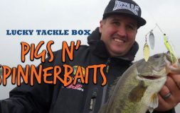 Ltb pigs n spinnerbaits