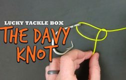 Ltb the davy knot