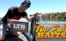 Ltb top fall baits