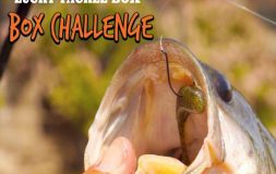 Lucky tackle box challenge