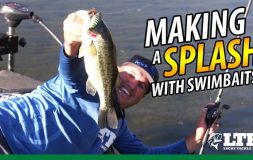 Making a splash with swimbait