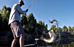 Man catching fish with a stick bait from a boat