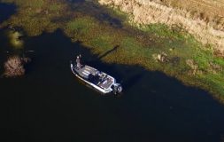 Man fishing in the heavy cover from a white boat