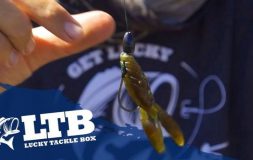 Tip #5 for summer bass fishing