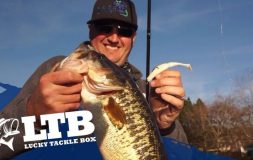 Man holding giant fish by the mouth with ltb logo