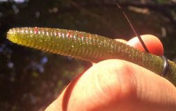 Man holding green neko rig