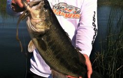 Man in the white shirt holding bass with the hook