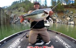 Man kneeling holding a large fish with both hands smiling