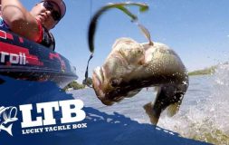 Man on the boat looking at fish being caught topwater