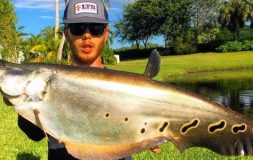 Man on the lake holding giant fish