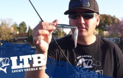 Man showing two baits connected to each other ltb logo