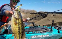 Man with a hat and sunglasses holding bass by the mouth standing on a boat