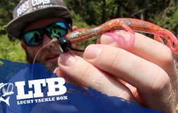 Man with a hat holding red bait in his fingers