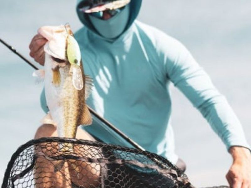 Man with a hat pulling bass out of the shallow water