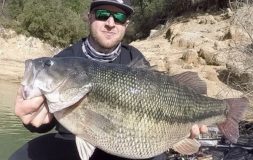 Man with sunglasses holding large fish