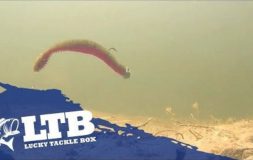 Neko rig floating with lucky tackle box logo