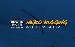 Neko rigging weedless setup