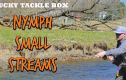 Nymph small streams