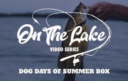 On the lake video series dog days of summer headline