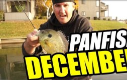 Panfish december headline with a man holding panfish bait