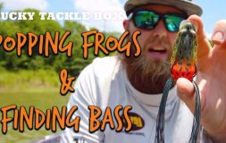 Popping frogs and finding bass
