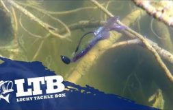 Purple bait floating next to tree branches in the water