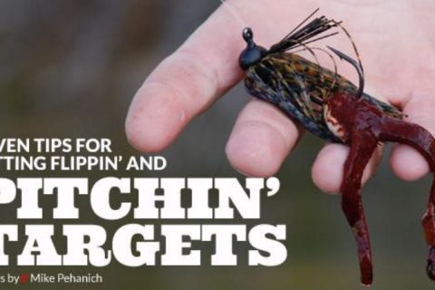 Seven tips for flipping and pitching targets