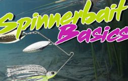 Spinnerbait basics