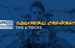 Squarebill crankbait tips and tricks