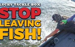 Stop leaving fish
