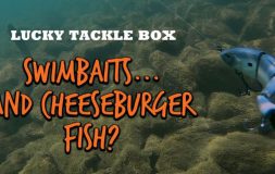 Swimbaits and cheeseburger fish