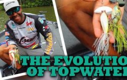 The evolution of topwater