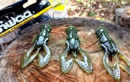 Three biwaa warax baits yellow and white on the chopped wood