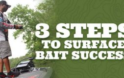 Three steps to surface bait success headline