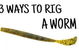 Three ways to rig a worm yellow bait